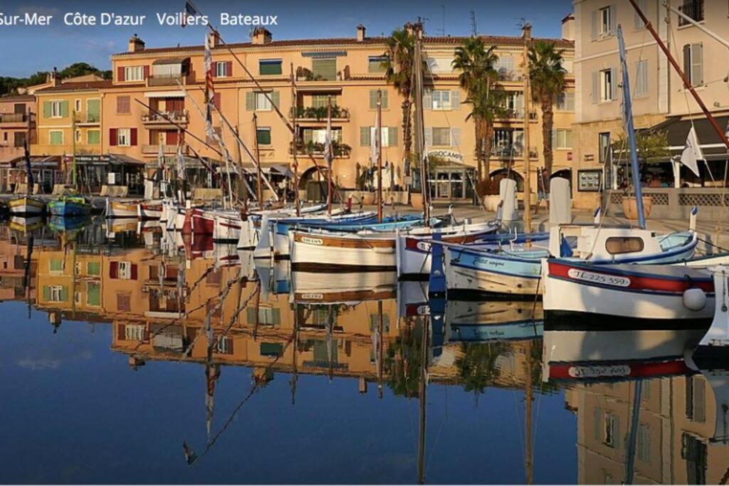 Tres Bel Appartement, Port Sanary, Appartement *